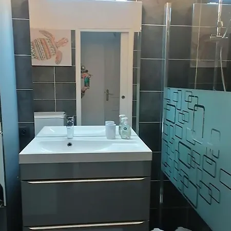 Grande Et Belle D'hote Avec Jardin Apartment